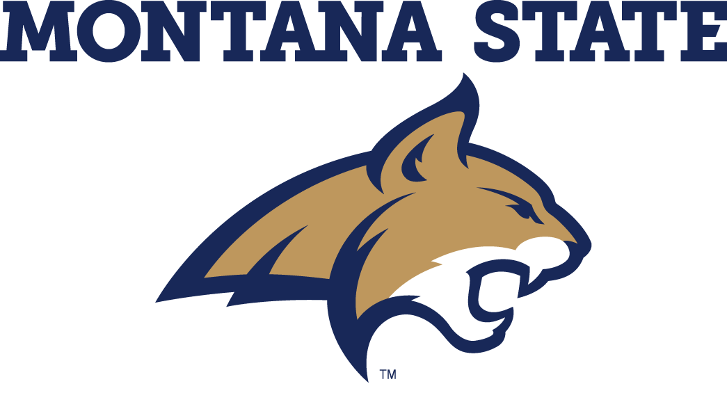 Montana State Bobcats 2013-Pres Alternate Logo 03 iron on paper